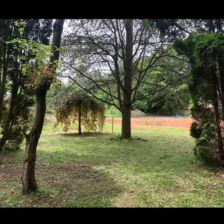 Charming Cosy House In Ohey, Perfect For 2 People Ohey