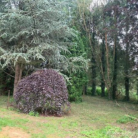 Charming Cosy House In Ohey, Perfect For 2 People Ohey