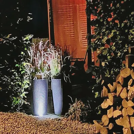 Charming Cosy House In Ohey, Perfect For 2 People Ohey