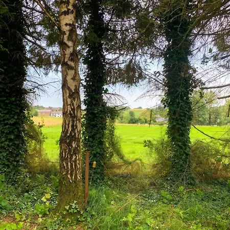 Charming Cosy House In Ohey, Perfect For 2 People *